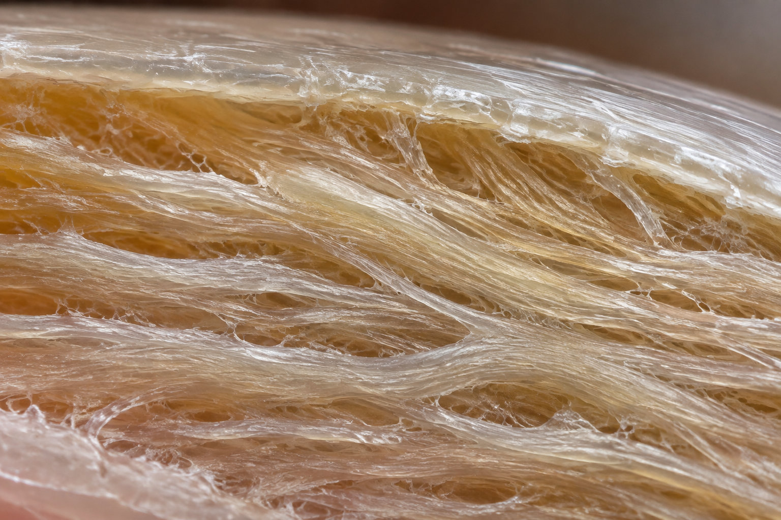 Gros plan sur des filaments translucides et visqueux étirés sur une surface brun doré.